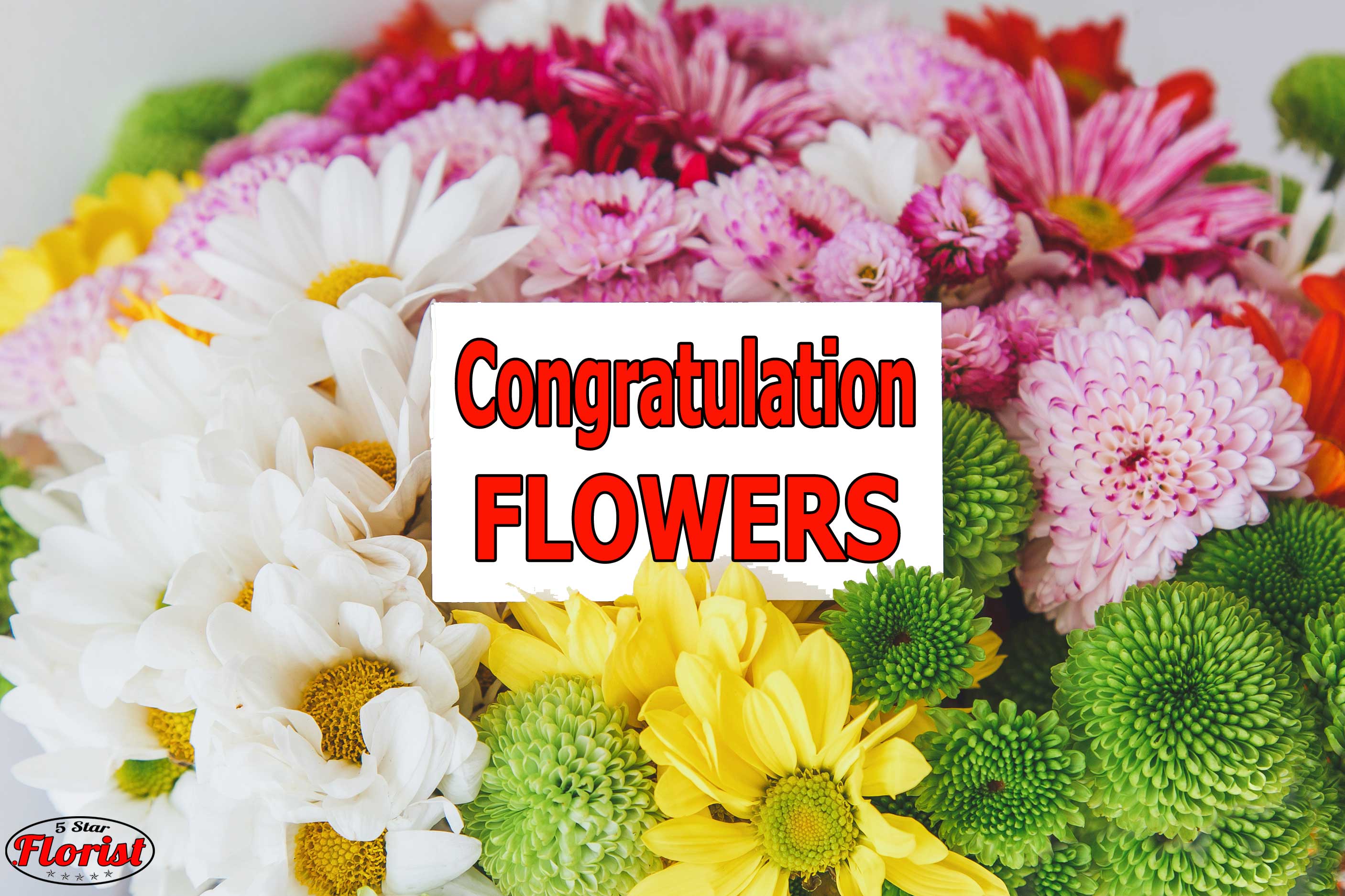 congratulations flowers Antelope