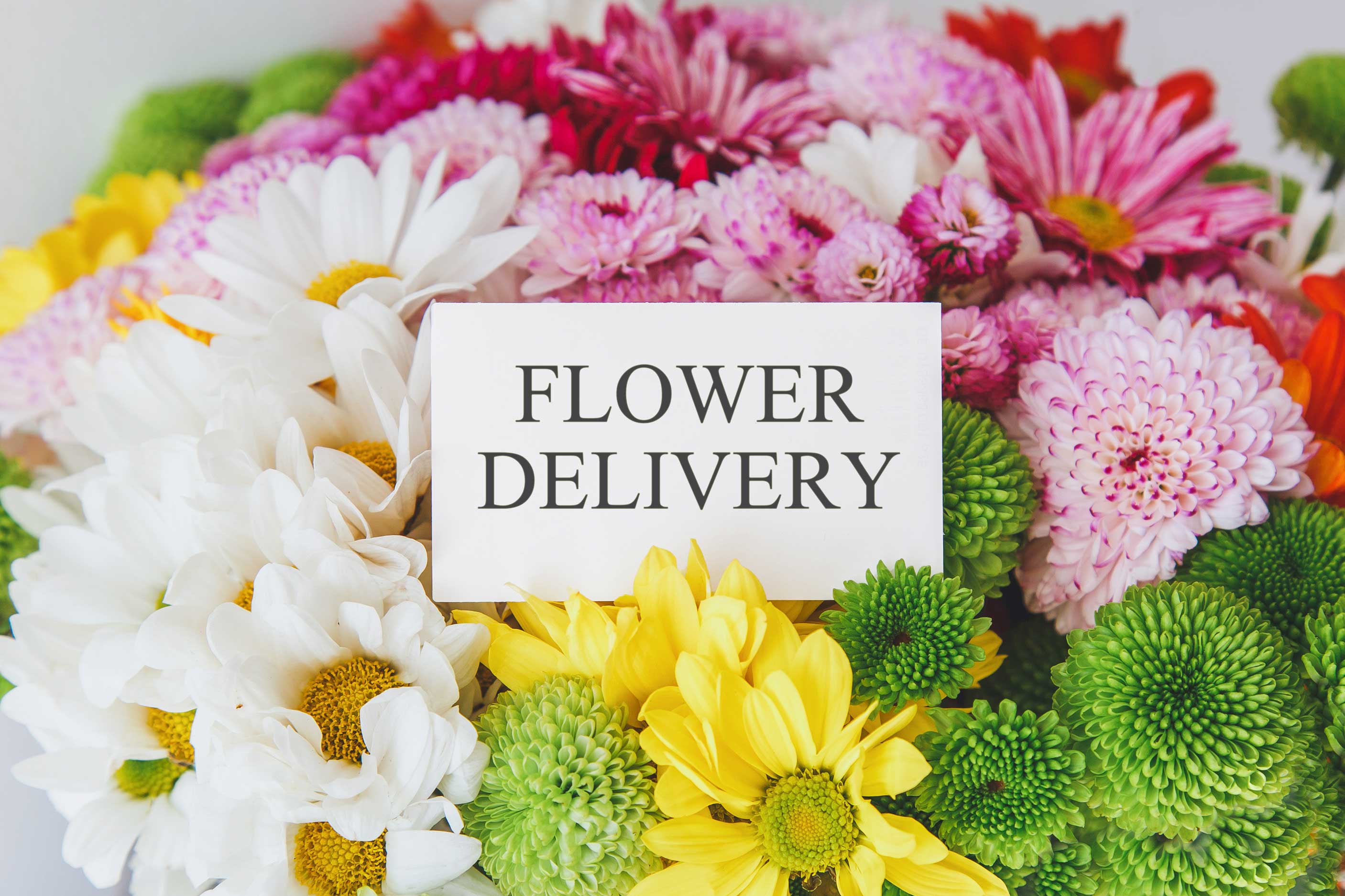 same-day-flower-delivery- Antelope